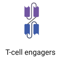 T Cell Engagers (TCE)