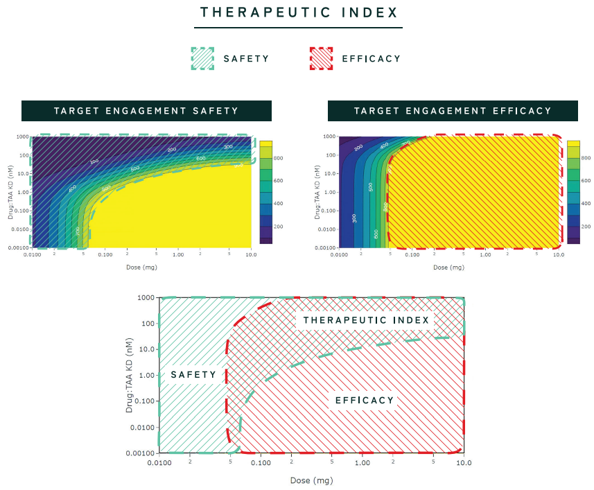 therapeutic index